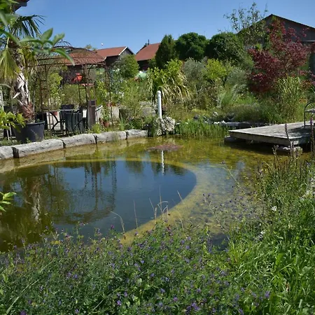 Palmengarten Finning Exterior foto