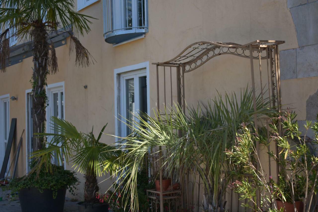 Apartment Palmengarten *