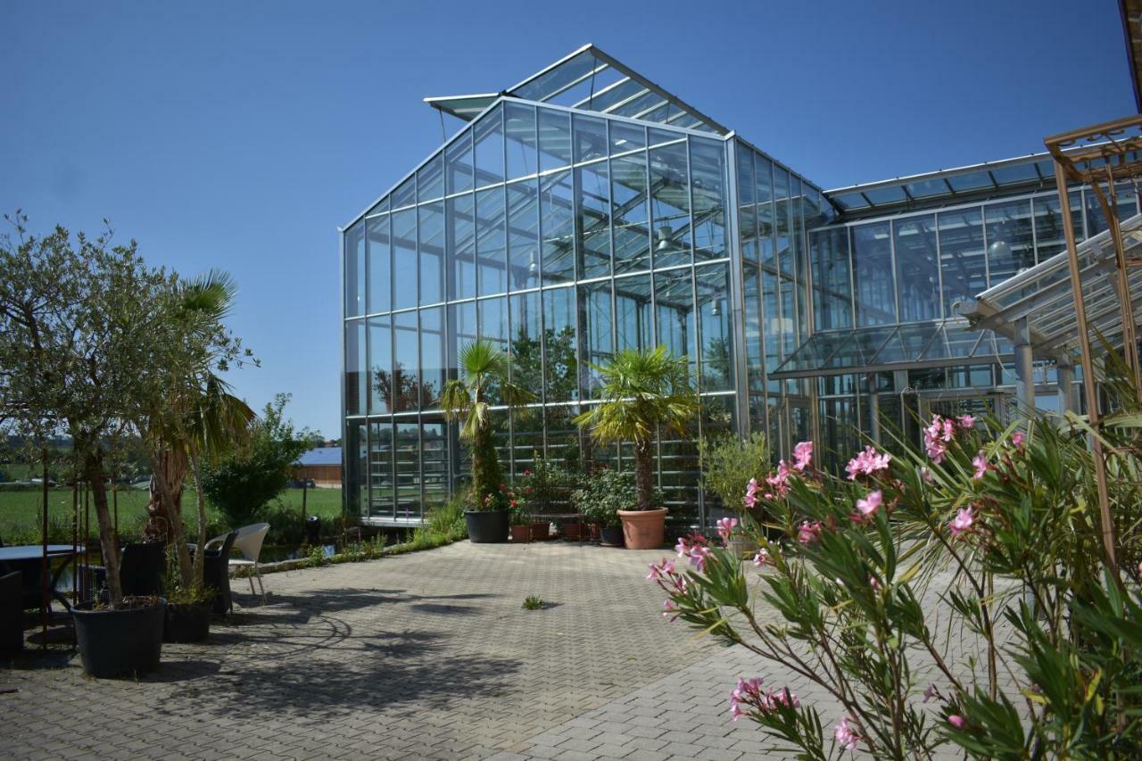Apartment Palmengarten Finning