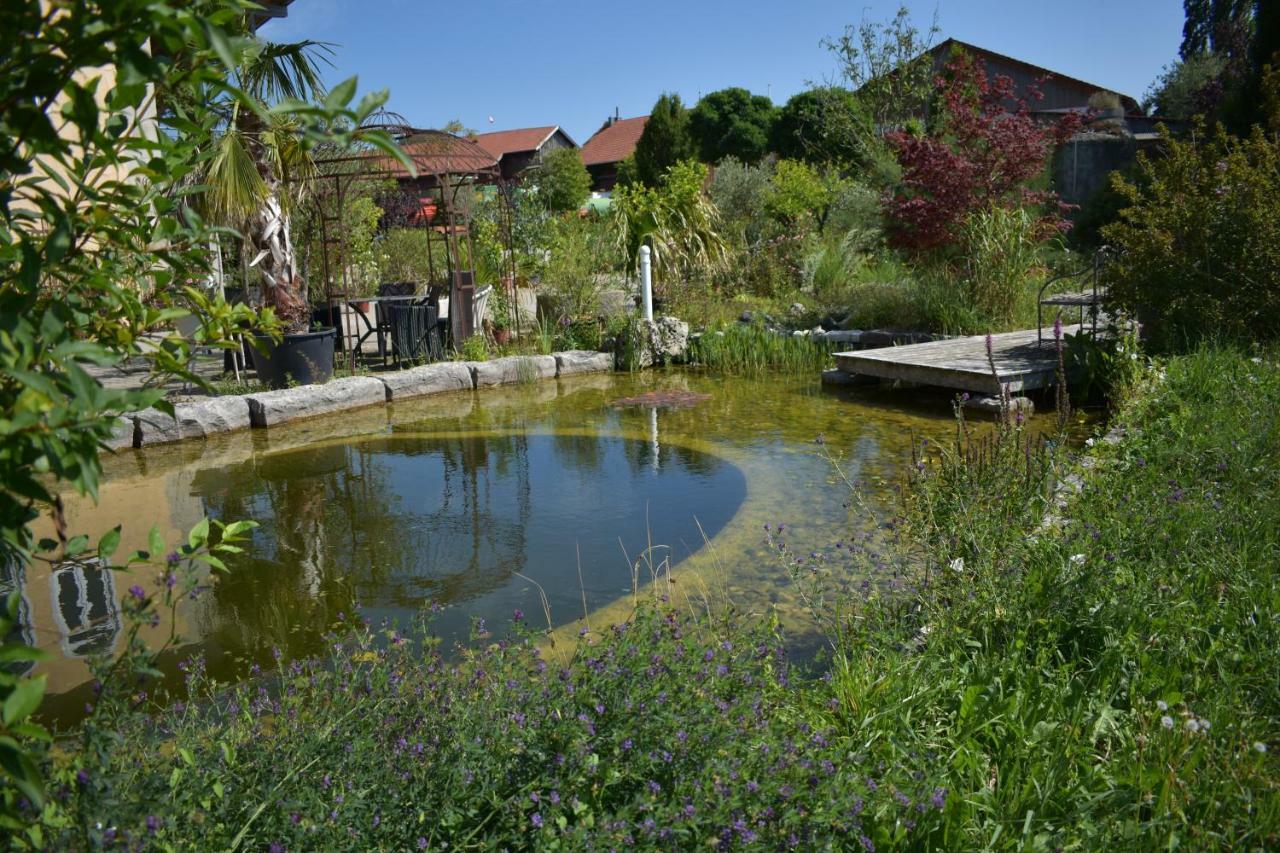 Palmengarten *